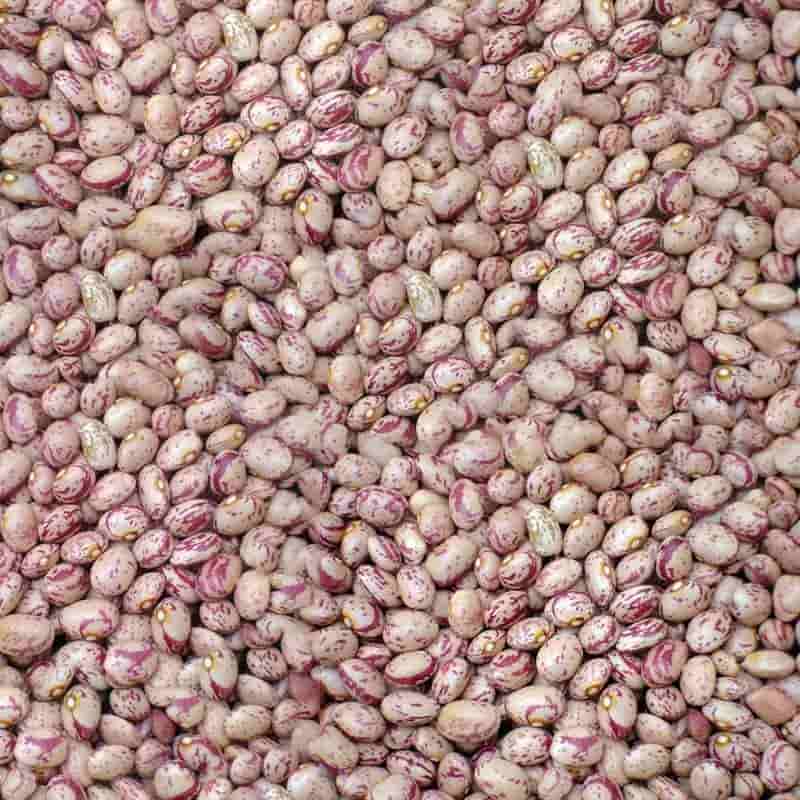 تصویر 2 از لوبیا چیتی نرم خوشپخت سنتی